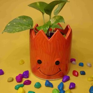 Indiankumhar Orange Groot ceramic Planter