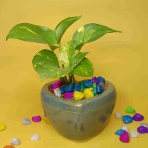 Indiankumhar Heart Shape Small Size Planter for Gifting (Glossy Green)