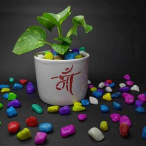 Indiankumhar mom printed planter