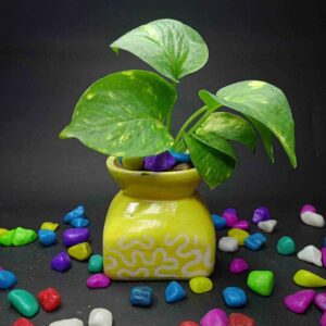 Indiankumhar Small size yellow cubical ceramic planter